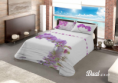 /album/fotogaleria/pag-15-png/